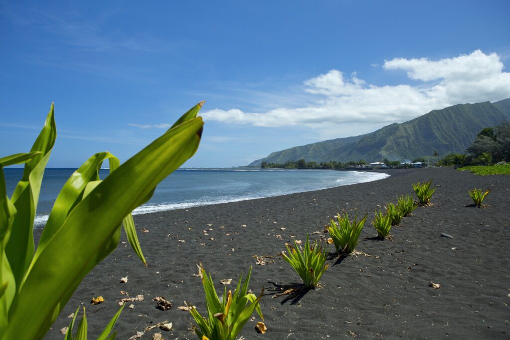 Circuit à Tahiti et ses Îles avec Rev'Collection