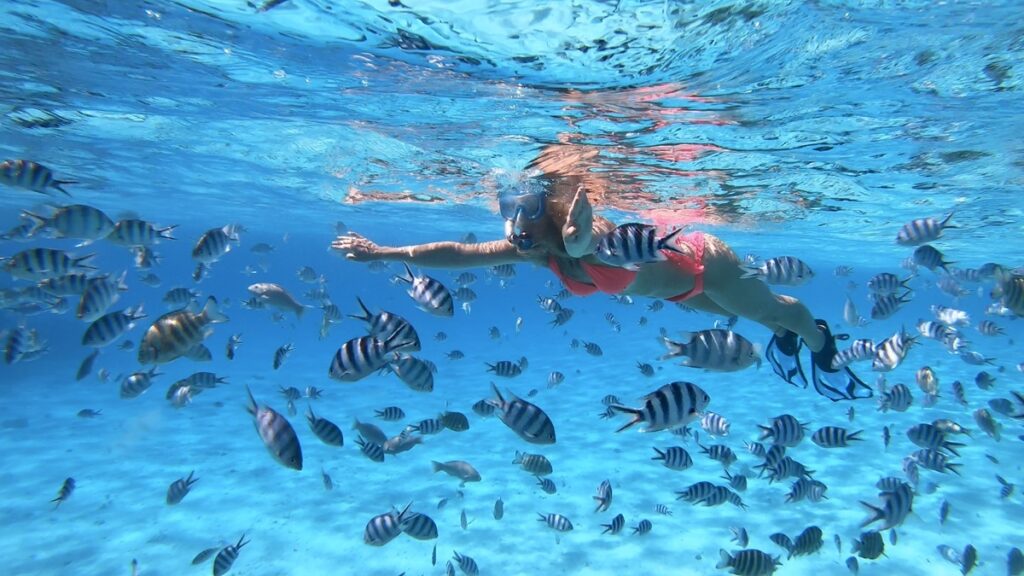 Snorkeling en Polynésie avec poissons tropicaux dans une eau turquoise